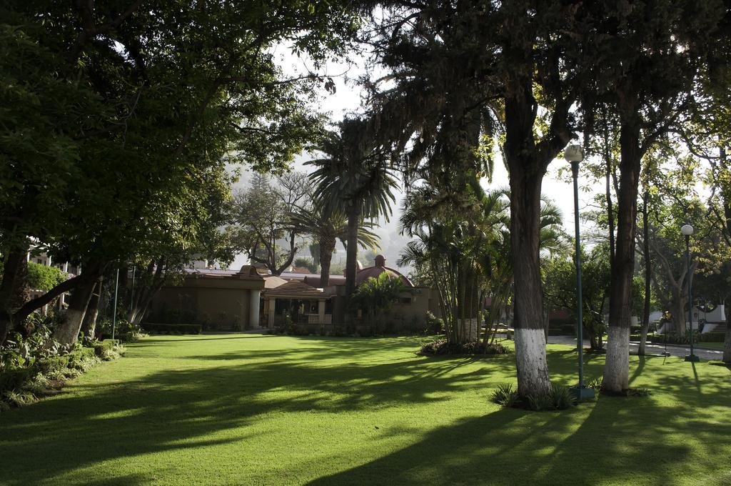 Hotel Los Olivos Spa Oaxaca Экстерьер фото